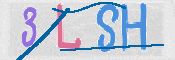 CAPTCHA (Şahıs Denetim Kodu) Resmi