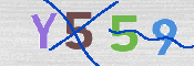 CAPTCHA (Şahıs Denetim Kodu) Resmi