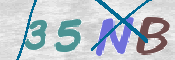 CAPTCHA (Şahıs Denetim Kodu) Resmi