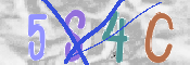 CAPTCHA (Şahıs Denetim Kodu) Resmi