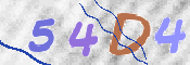 CAPTCHA (Şahıs Denetim Kodu) Resmi