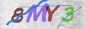 CAPTCHA (Şahıs Denetim Kodu) Resmi