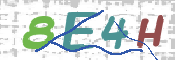 CAPTCHA (Şahıs Denetim Kodu) Resmi