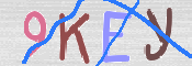 CAPTCHA (Şahıs Denetim Kodu) Resmi