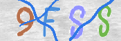 CAPTCHA (Şahıs Denetim Kodu) Resmi