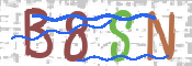 CAPTCHA (Şahıs Denetim Kodu) Resmi
