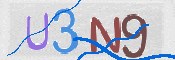 CAPTCHA (Şahıs Denetim Kodu) Resmi