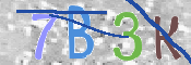 CAPTCHA (Şahıs Denetim Kodu) Resmi