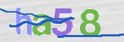 CAPTCHA (Şahıs Denetim Kodu) Resmi