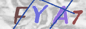 CAPTCHA (Şahıs Denetim Kodu) Resmi