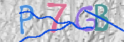 CAPTCHA (Şahıs Denetim Kodu) Resmi