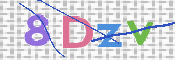 CAPTCHA (Şahıs Denetim Kodu) Resmi