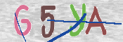 CAPTCHA (Şahıs Denetim Kodu) Resmi