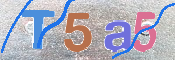 CAPTCHA (Şahıs Denetim Kodu) Resmi
