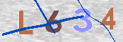 CAPTCHA (Şahıs Denetim Kodu) Resmi