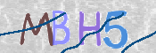 CAPTCHA (Şahıs Denetim Kodu) Resmi