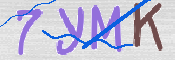 CAPTCHA (Şahıs Denetim Kodu) Resmi