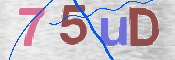 CAPTCHA (Şahıs Denetim Kodu) Resmi