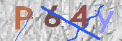 CAPTCHA (Şahıs Denetim Kodu) Resmi
