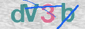 CAPTCHA (Şahıs Denetim Kodu) Resmi