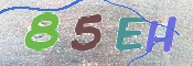 CAPTCHA (Şahıs Denetim Kodu) Resmi