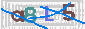 CAPTCHA (Şahıs Denetim Kodu) Resmi