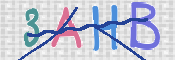 CAPTCHA (Şahıs Denetim Kodu) Resmi