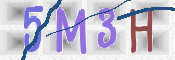 CAPTCHA (Şahıs Denetim Kodu) Resmi