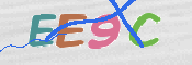 CAPTCHA (Şahıs Denetim Kodu) Resmi