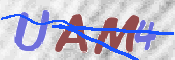 CAPTCHA (Şahıs Denetim Kodu) Resmi