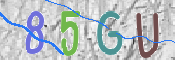 CAPTCHA (Şahıs Denetim Kodu) Resmi