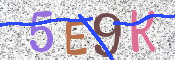 CAPTCHA (Şahıs Denetim Kodu) Resmi