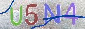 CAPTCHA (Şahıs Denetim Kodu) Resmi