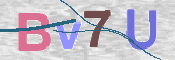 CAPTCHA (Şahıs Denetim Kodu) Resmi