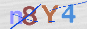 CAPTCHA (Şahıs Denetim Kodu) Resmi