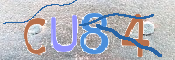 CAPTCHA (Şahıs Denetim Kodu) Resmi