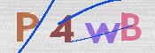 CAPTCHA (Şahıs Denetim Kodu) Resmi