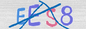 CAPTCHA (Şahıs Denetim Kodu) Resmi