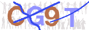 CAPTCHA (Şahıs Denetim Kodu) Resmi