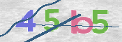 CAPTCHA (Şahıs Denetim Kodu) Resmi