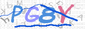 CAPTCHA (Şahıs Denetim Kodu) Resmi