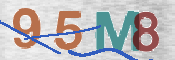 CAPTCHA (Şahıs Denetim Kodu) Resmi