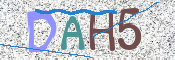 CAPTCHA (Şahıs Denetim Kodu) Resmi