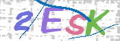 CAPTCHA (Şahıs Denetim Kodu) Resmi