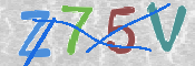 CAPTCHA (Şahıs Denetim Kodu) Resmi