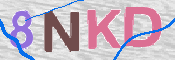 CAPTCHA (Şahıs Denetim Kodu) Resmi