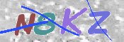 CAPTCHA (Şahıs Denetim Kodu) Resmi