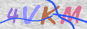 CAPTCHA (Şahıs Denetim Kodu) Resmi