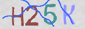 CAPTCHA (Şahıs Denetim Kodu) Resmi
