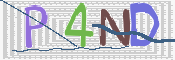 CAPTCHA (Şahıs Denetim Kodu) Resmi
